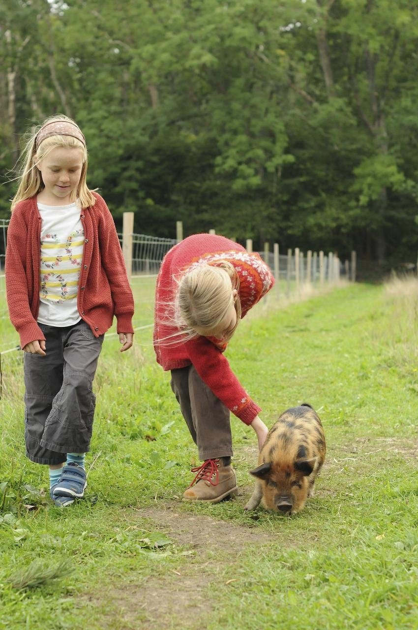 Tothaven ved Hundested slår dørene op og lokker med smagsprøver fra eget mejeri