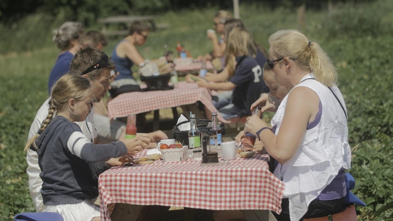 Både lørdag og søndag - 25.-26. maj - trrækker Furesø i forklædet, når Furesø Picnicfestival løber af stablen for femte gang