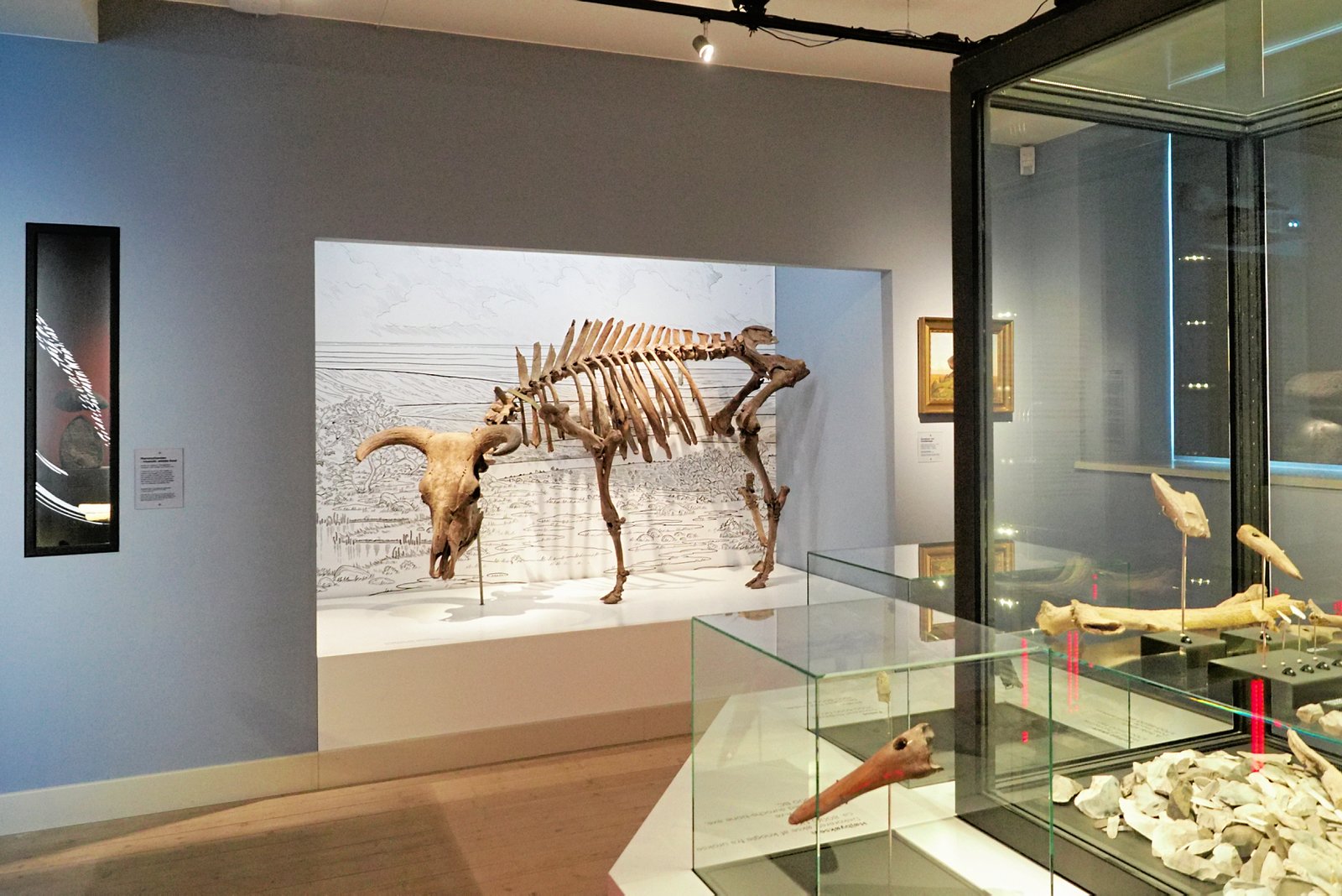 Urokseskelettet på Roskilde Museum vækkes til live i en ny sang, som børn og voksne kan synge med på.