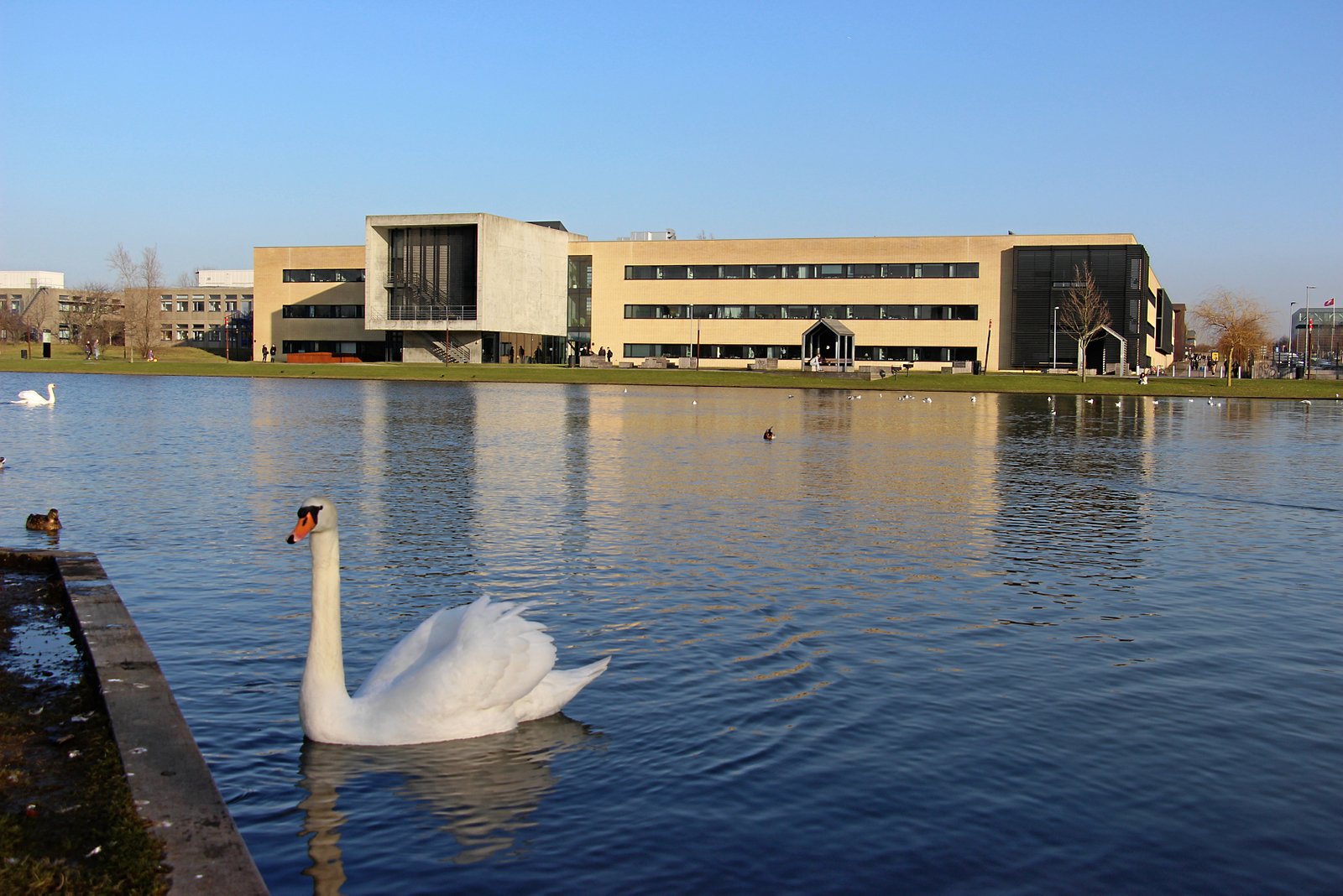 Roskilde Universitet har fremgang i antallet af ansøgere for andet år i træk. Det kommer dog også efter nogle magre år.