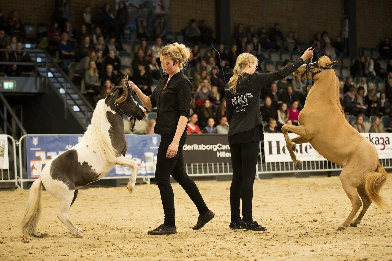FrederiksborgCentret inviterer til Hillerød Horse Show 2019