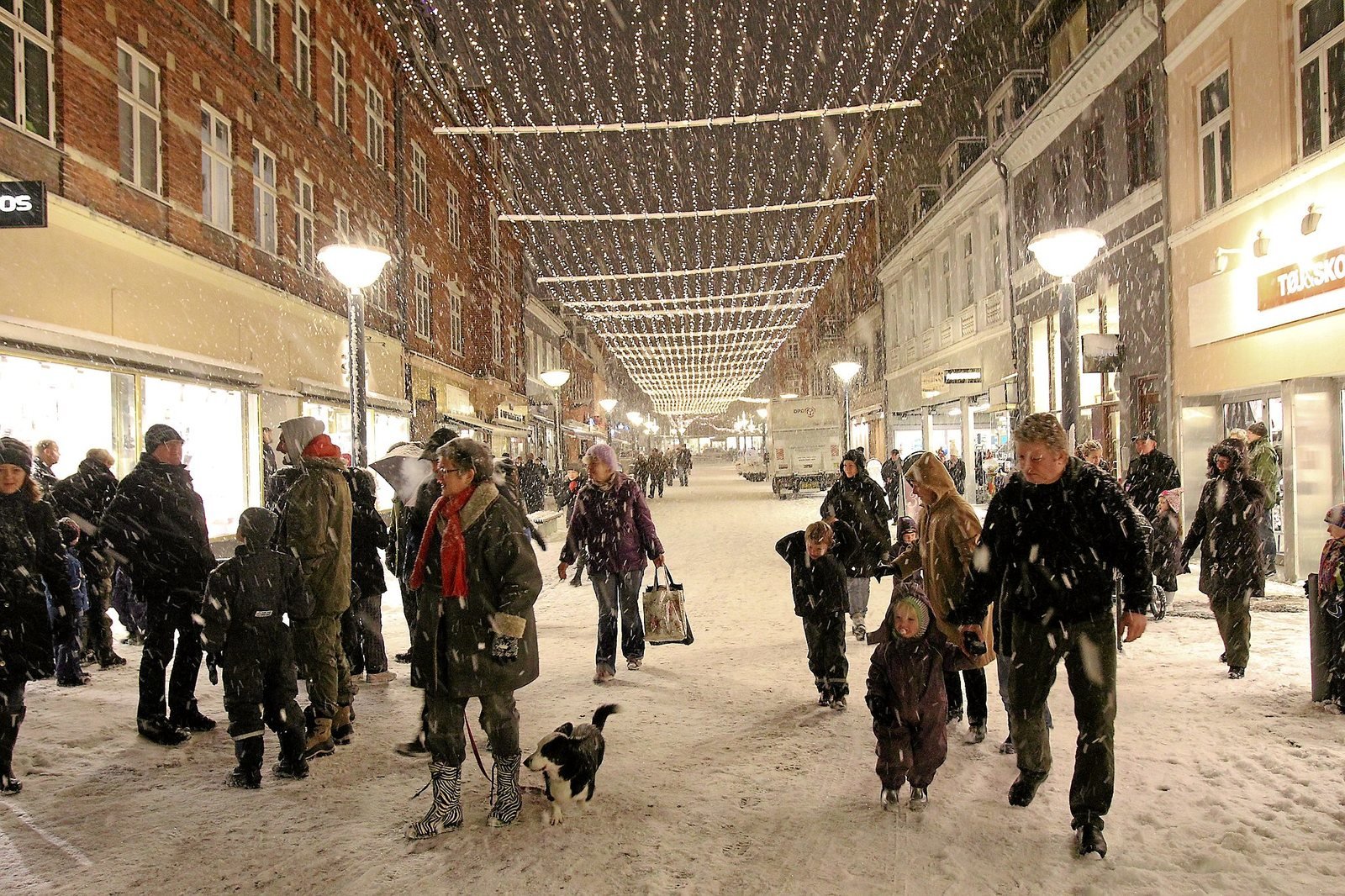 Lysgardinerne i Sct. Hansgade og Tinggade har i flere år modstået orkaner, sne og endda en lagerbrand. De gik ikke til i lagerbranden, men de er så gamle, at Ringsted Julebelysning i år skifter dem ud.