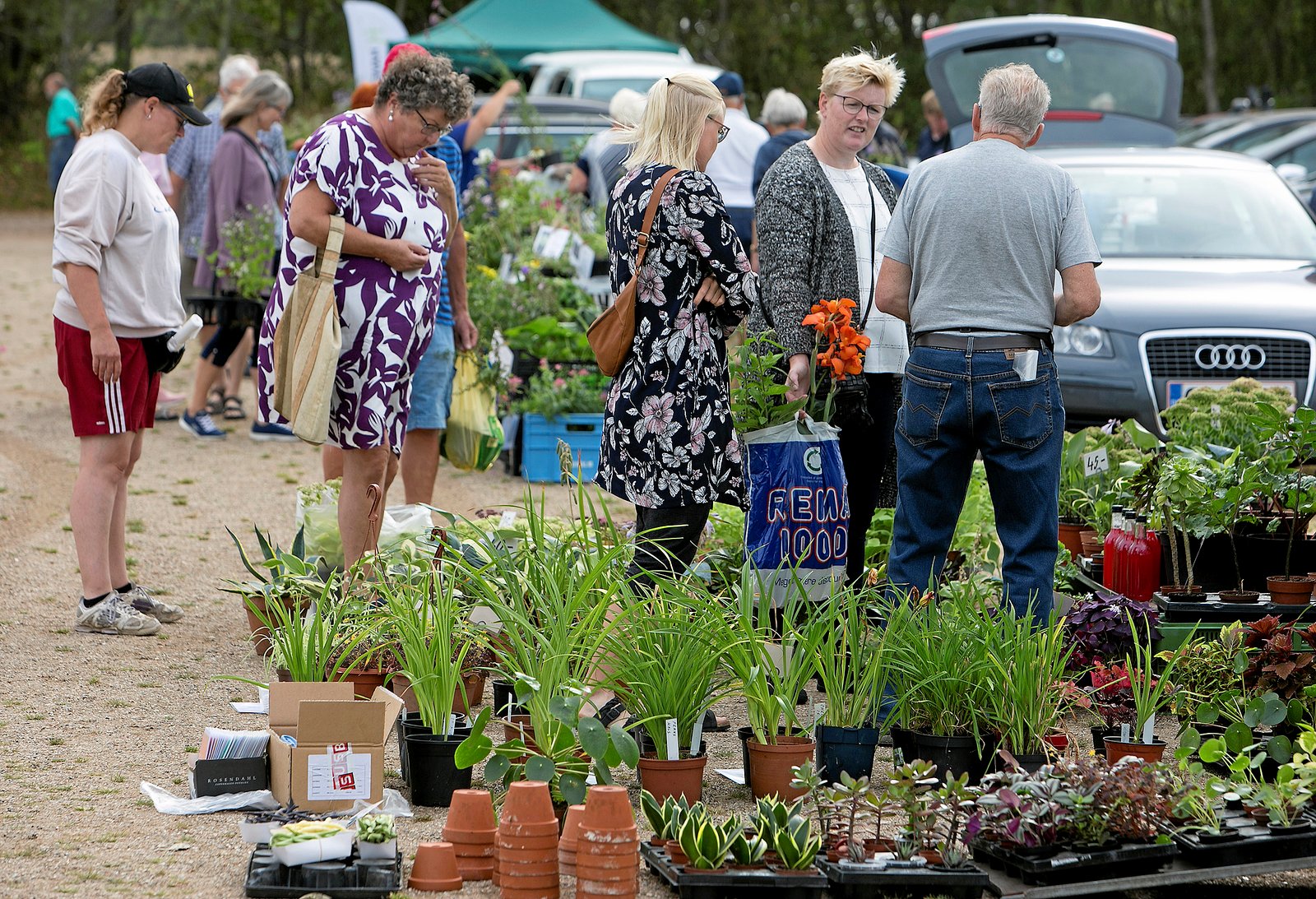 Der er masser af gode ideer til aktiviteter, der skal være med til at skabe liv i bymidterne. Borgerforeningen vil blandt andet arrangere I Fredensborg by vil borgerforeningen arrangere en plantemarkedsdag på Store Torv i Fredensborg.