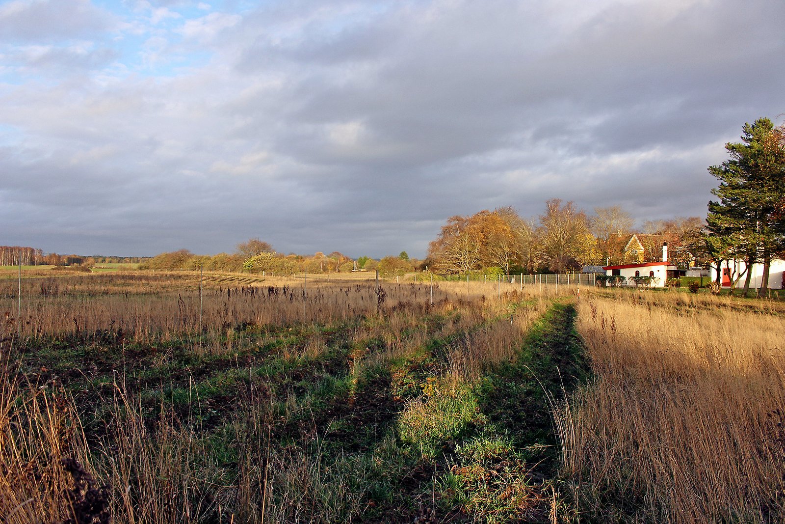Nye planer om 11 udstykninger i Ny Harløse skal høres hos borgerne