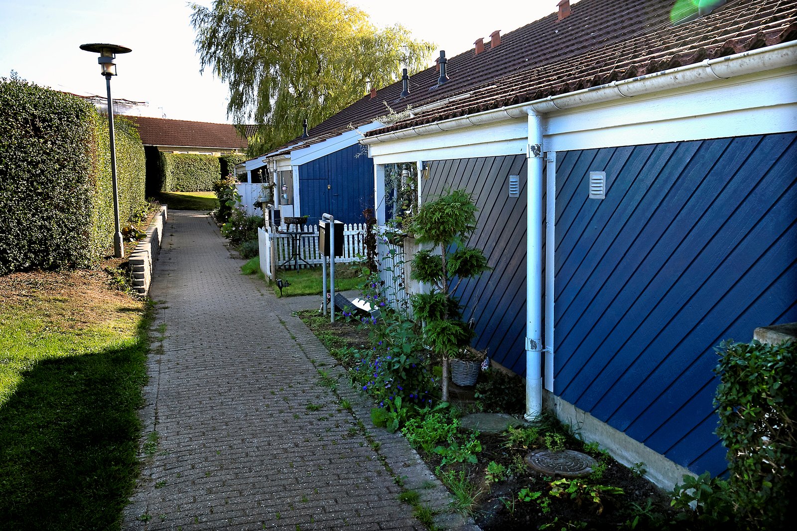 Beboere i Stougården opfordrer til, at Roskilde Kommune og Boligselskabet Sjælland lader andre få glæde af tomme boliger, som kommunen ikke gør brug af.