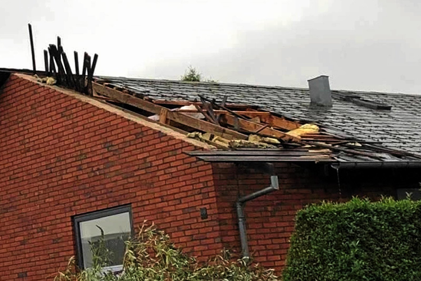Tornado, fangeflugt og Corona fyldte mest. Men der skete meget andet i den sidste halvdel af 2020.