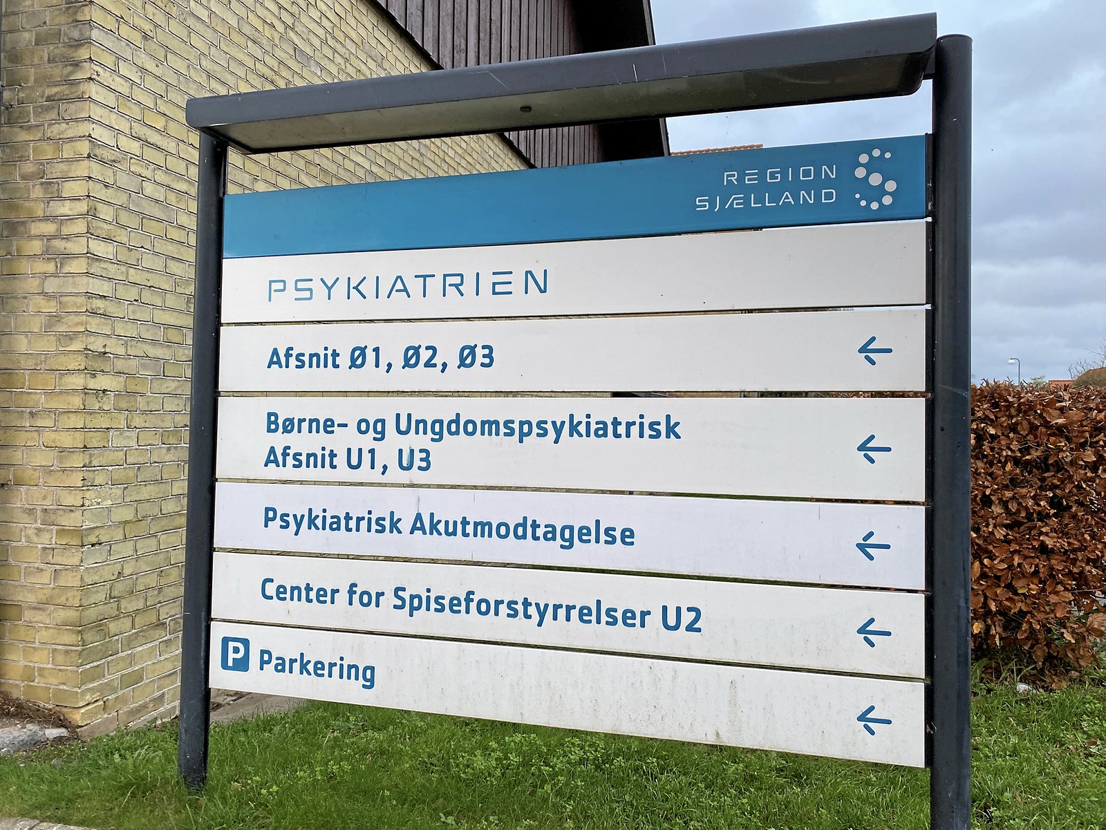 - Børn og unge med psykisk sygdom må ikke blive kastebolde i en politisk strukturændring, skriver Grethe Olivia Nielsson.