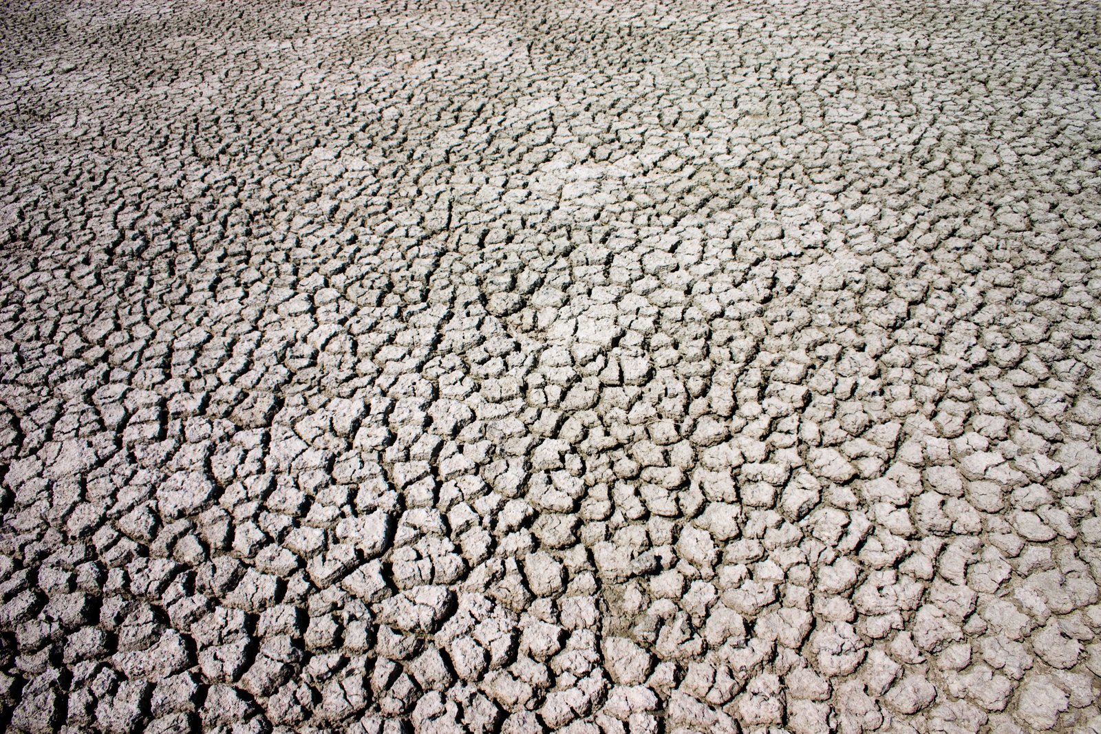 S-regeringen har ikke forpligtet sig til at øge klimabistanden og hjælp til Afrika. Støttepartier kræver løft.