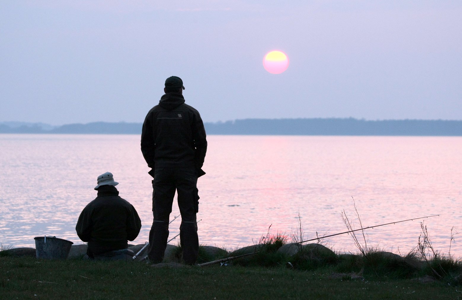 - Før 1700–1800 tallet havde Arresø klart vand og veludviklede bestande af undervandsplanter og vandfugle. Det viser daterede plante- og dyrerester i søbunden, skriver tre ferskvandsbiologer.