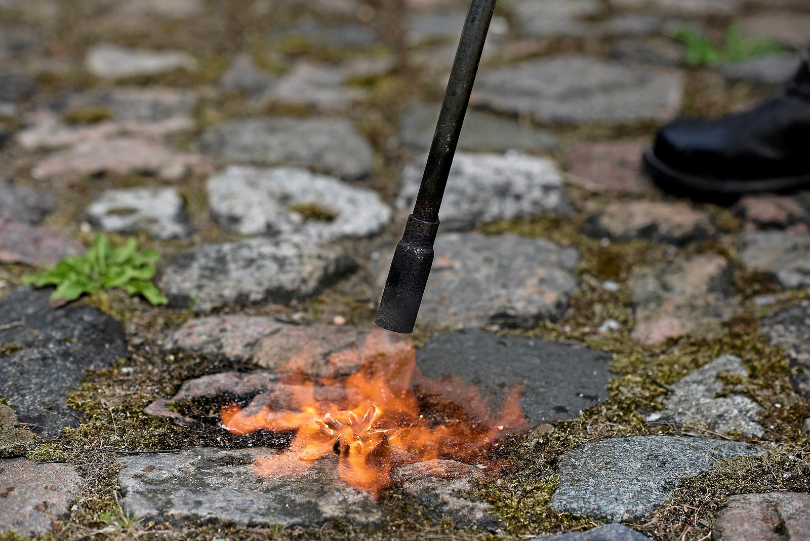Ukrudtsbrændere starter stadig flere brande i Danmark.