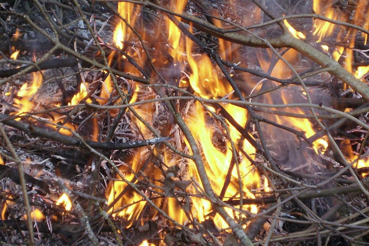 Flammer og røg fik omkringboende i Fredensborg til at slå alarm