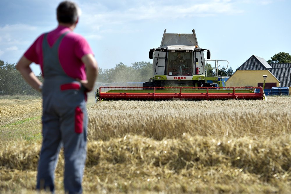 Tørken har ramt de danske landmænd hårdt. Ifølge Finans.dk venter landbruget et milliardunderskud i år.
