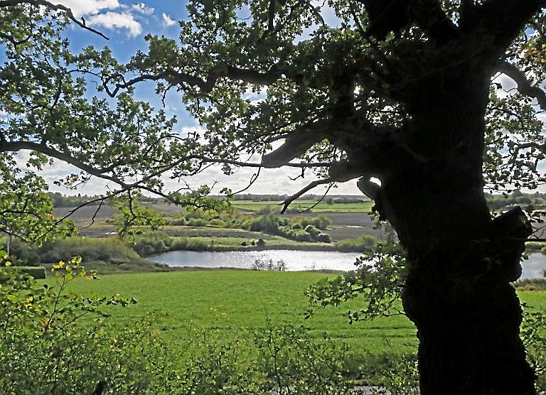 Borgere, foreninger, virksomheder og andre interesserede kan dele idéer, høre om planerne og møde dem, der arbejder med udviklingen af Naturpark Mølleåen.