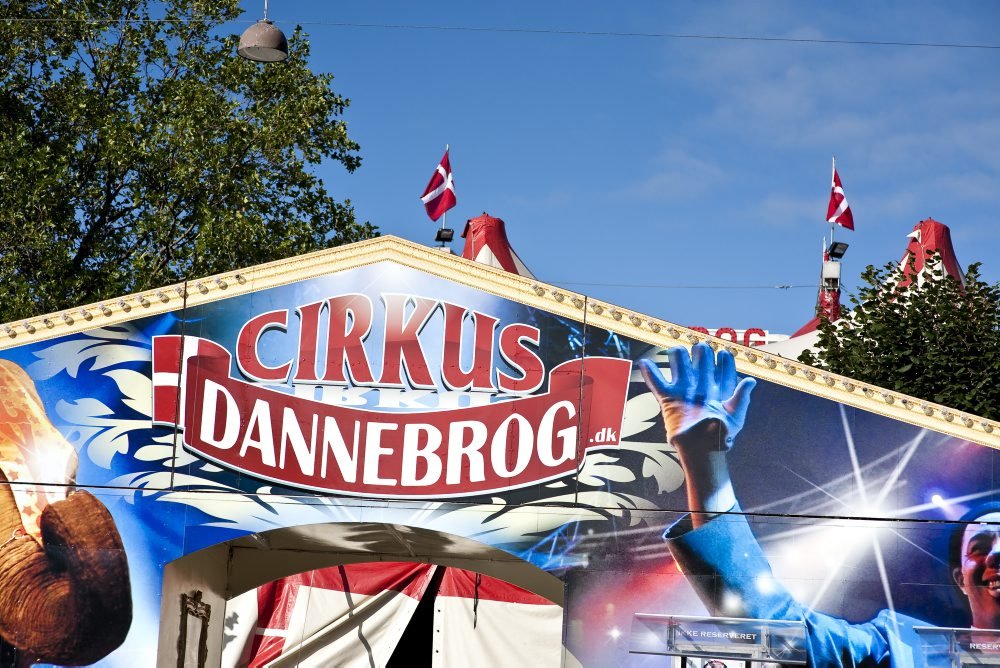 De fire Enoch-søskende håber, at publikum vil være dem trofaste, efter det er lykkedes at afværge en konkurs.