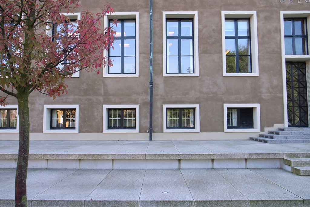 I weekenden 16. - 18. januar blev der delt krænkende og ulovligt materiale om en elev på Øregård Gymnasium via en anonym Instagram-profil.
