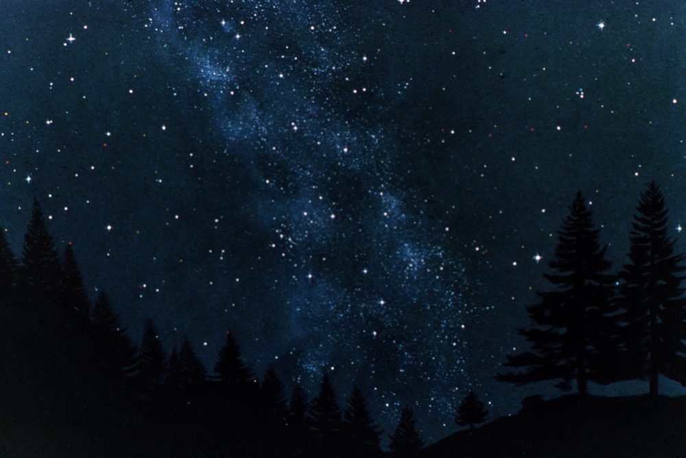 Natten til fredag vil himlen lyses op af flere hundrede stjerneskud, når en meteorsværm passerer Danmark.