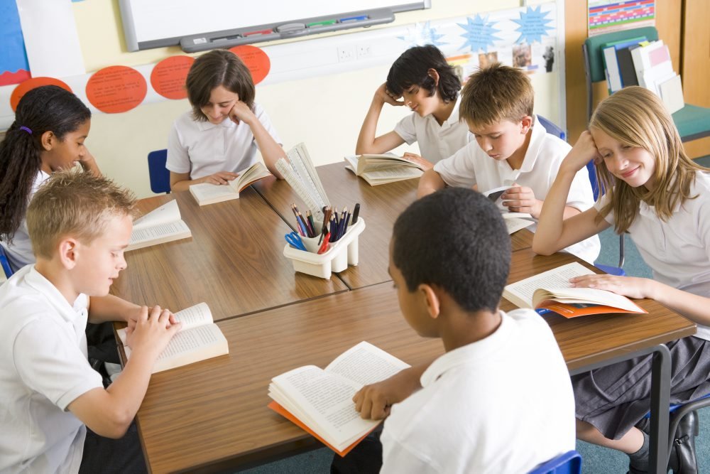 Niels Egelund anbefalede, at skoler indførte nationale test. Men mange lærere misforstår elevernes resultater.