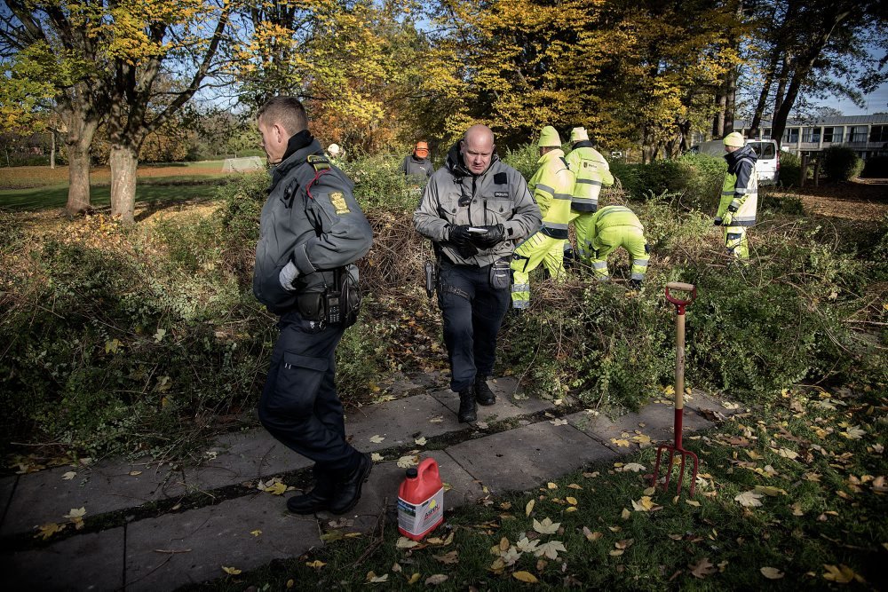 Politifolk ledte efter drabsvåbnet i området, hvor Louise Borglit blev dræbt. Arkivfoto.