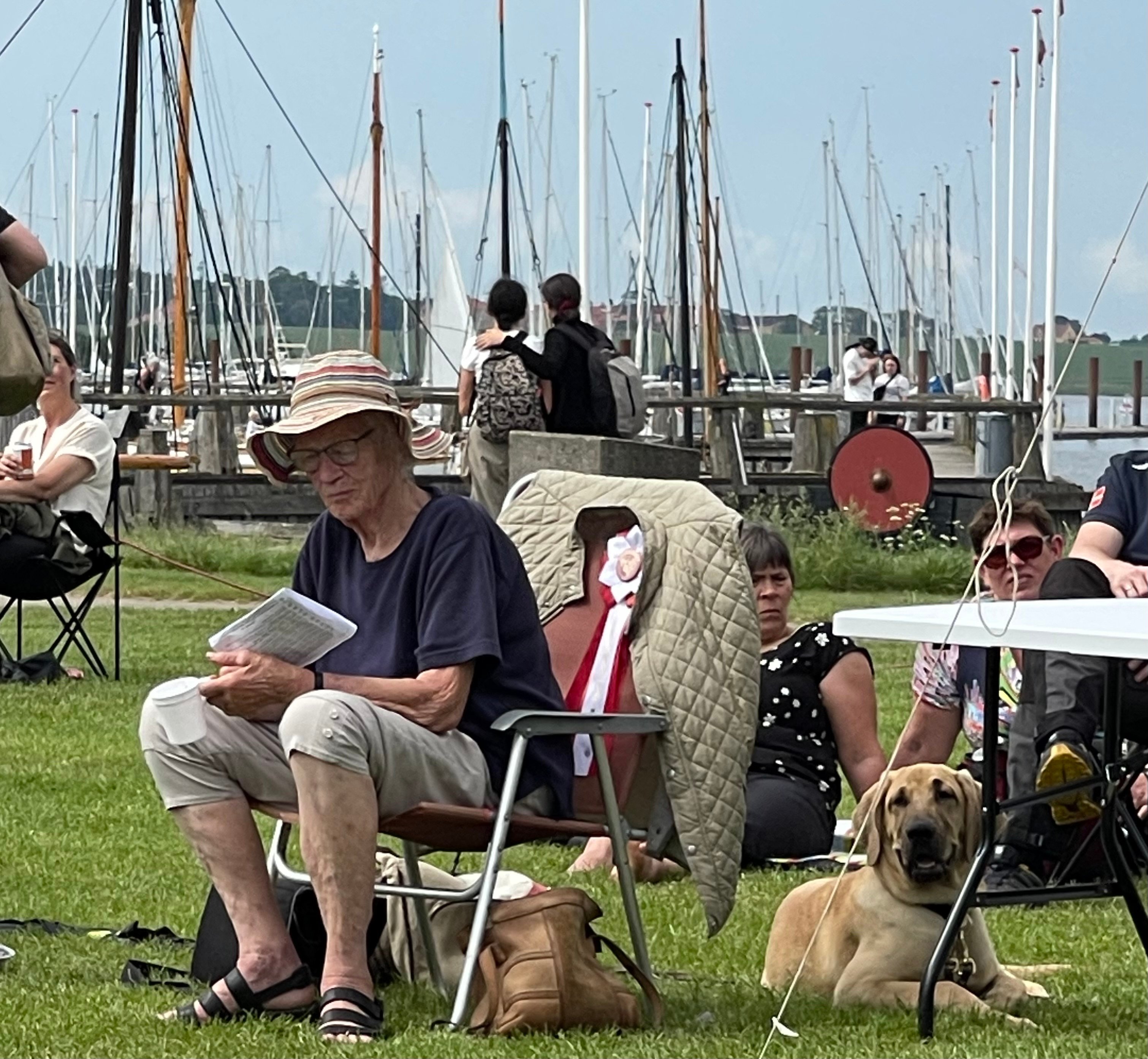 Broholmerselskabet holdt sin traditionelle årlige hundeudstilling på plænen foran Vikingeskibsmuseet. Foto: Tanja Kiens