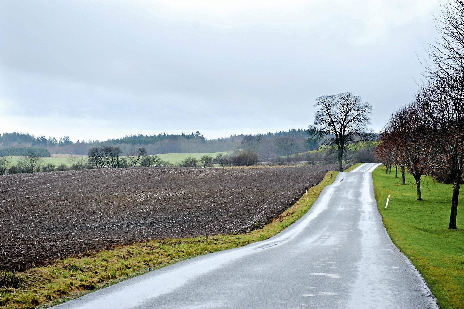PenSam undersøger mulighederne for salg af et af de største og mest attraktive skov- og landbrugsarealer på Sjælland. Silva Estate skal afdække salgsmulighederne for 1.910 hektar skov- og landbrugsjord ved Skjoldenæsholm samt over 40 tilknyttede ejendomme.