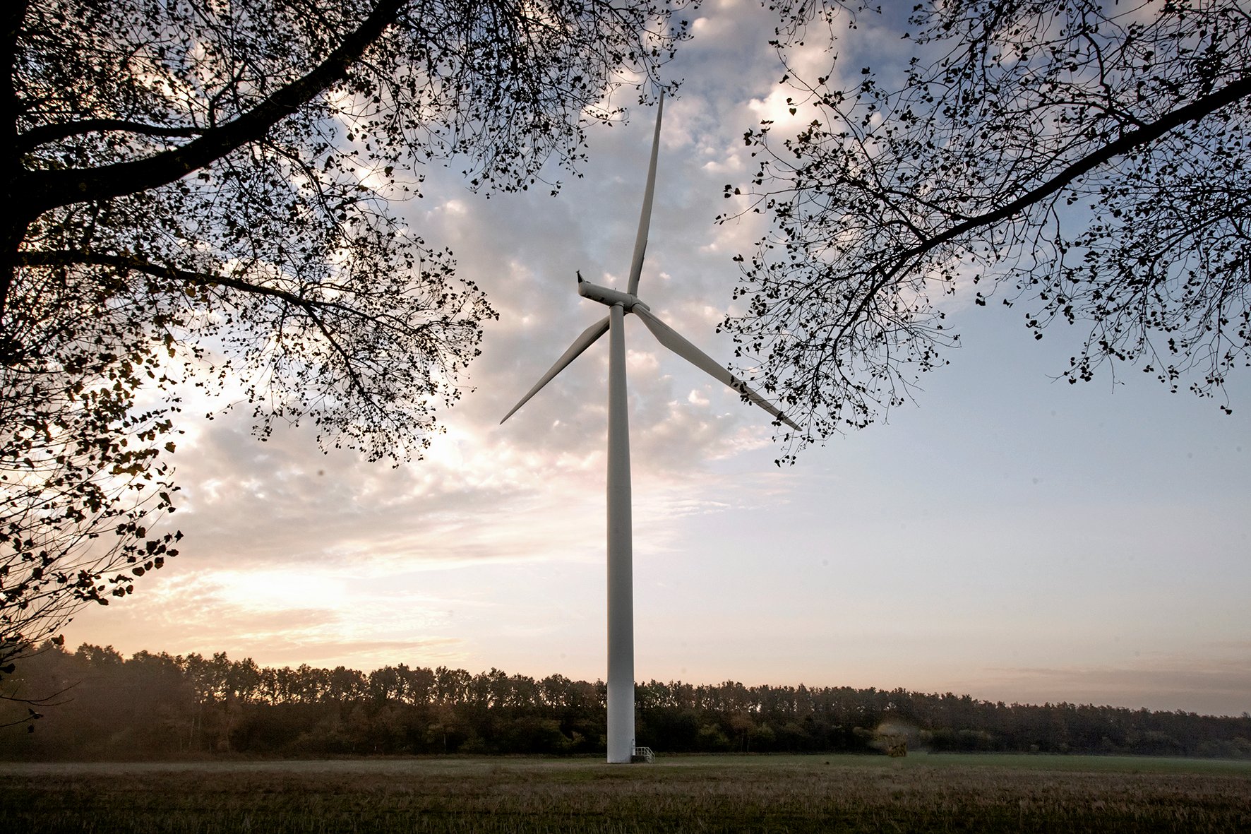 Energipark ved Vallø i Køge Kommune