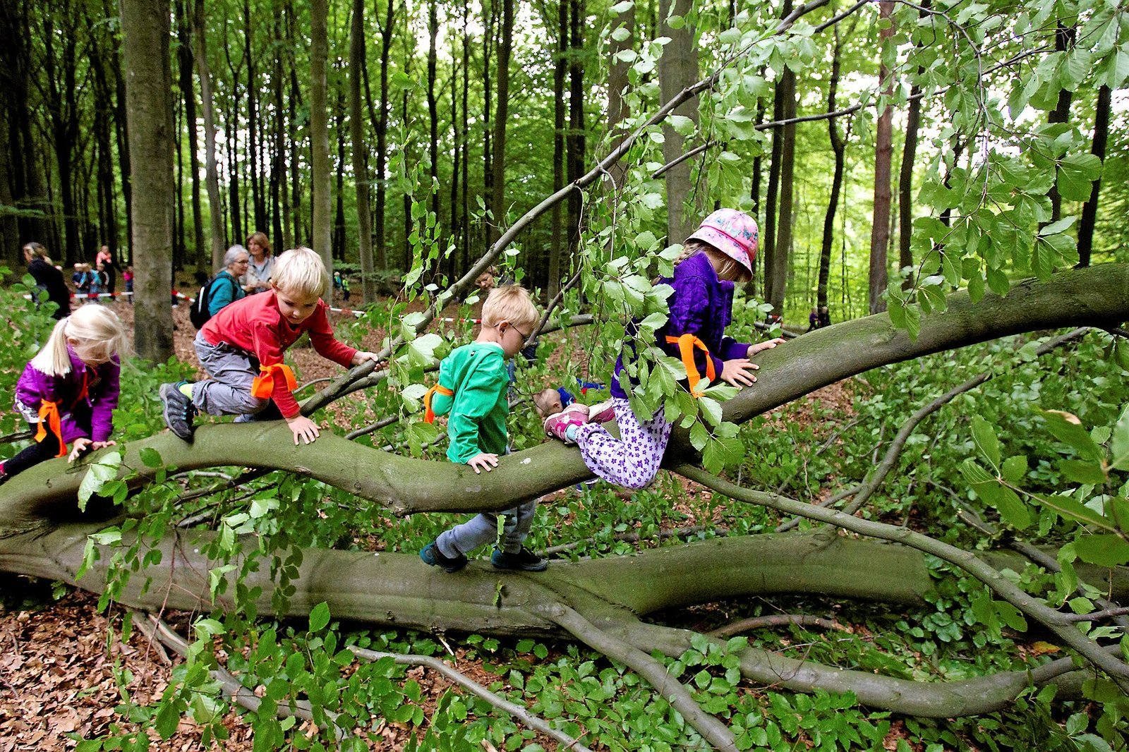 Vi skal passe endnu bedre på naturen, lyder en af anbefalingerne.