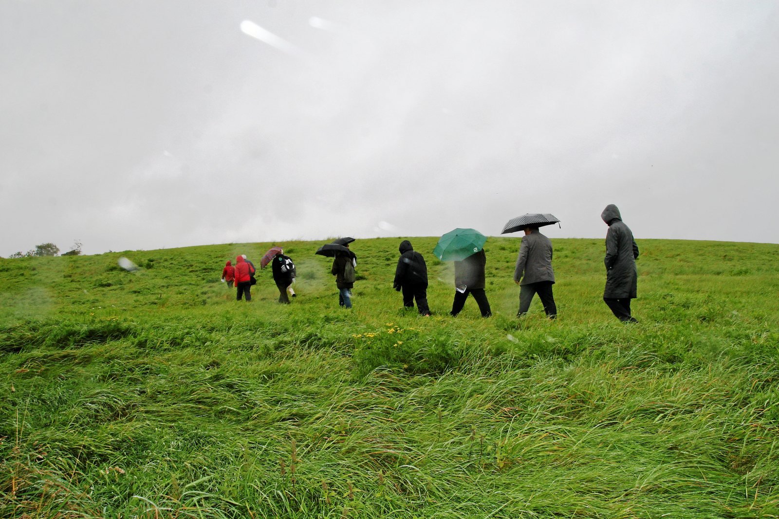 Den fredede vestkile ved Helsingør.