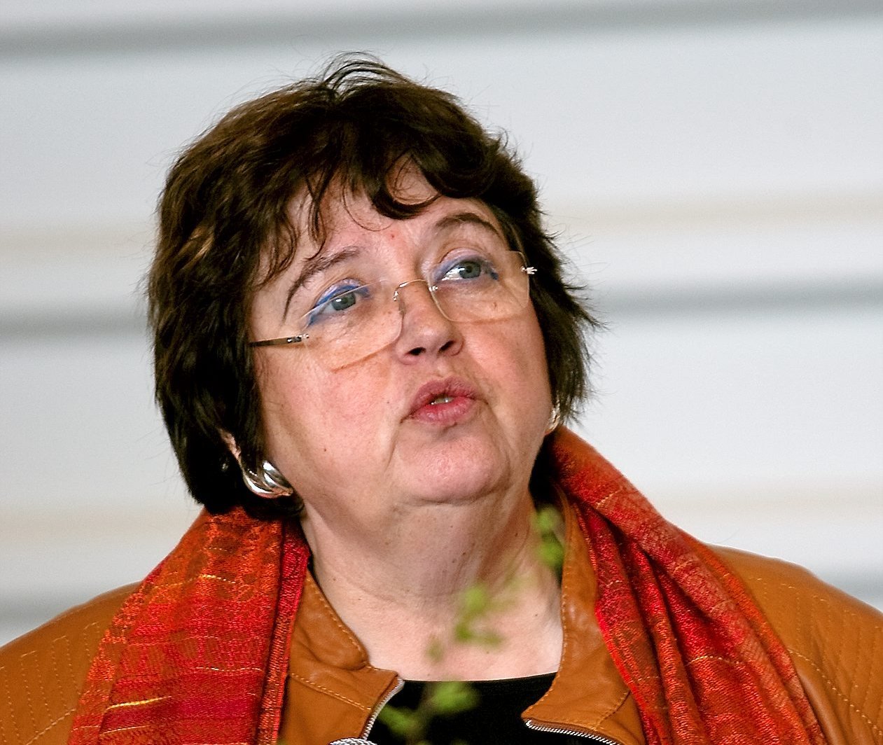 Det er helt afgørende, at de nordiske lande vil SAS, hvis selskabet skal overleve, siger regionsformand.