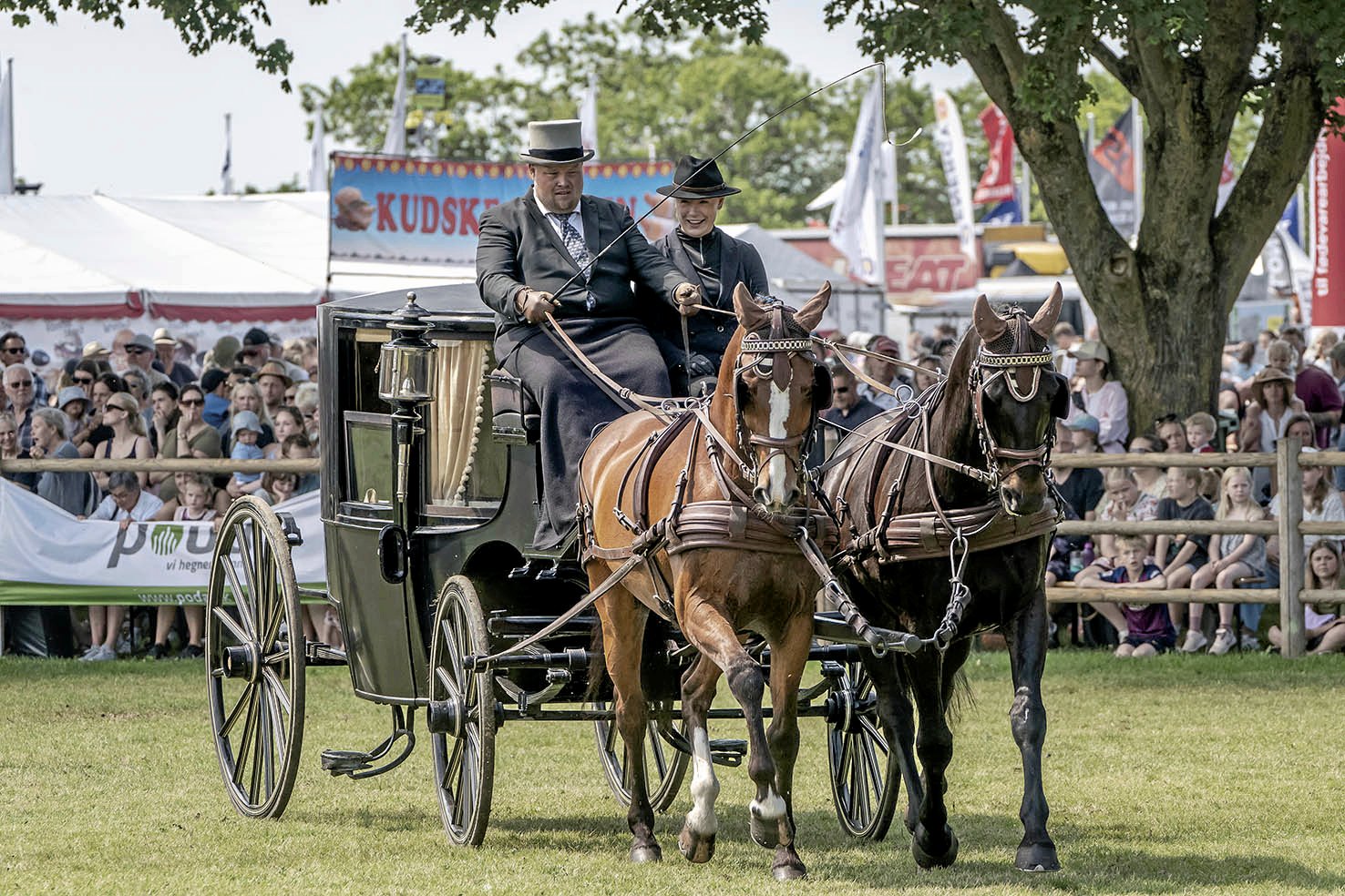 Årets dyrskue byder på oplevelser for hele familien.