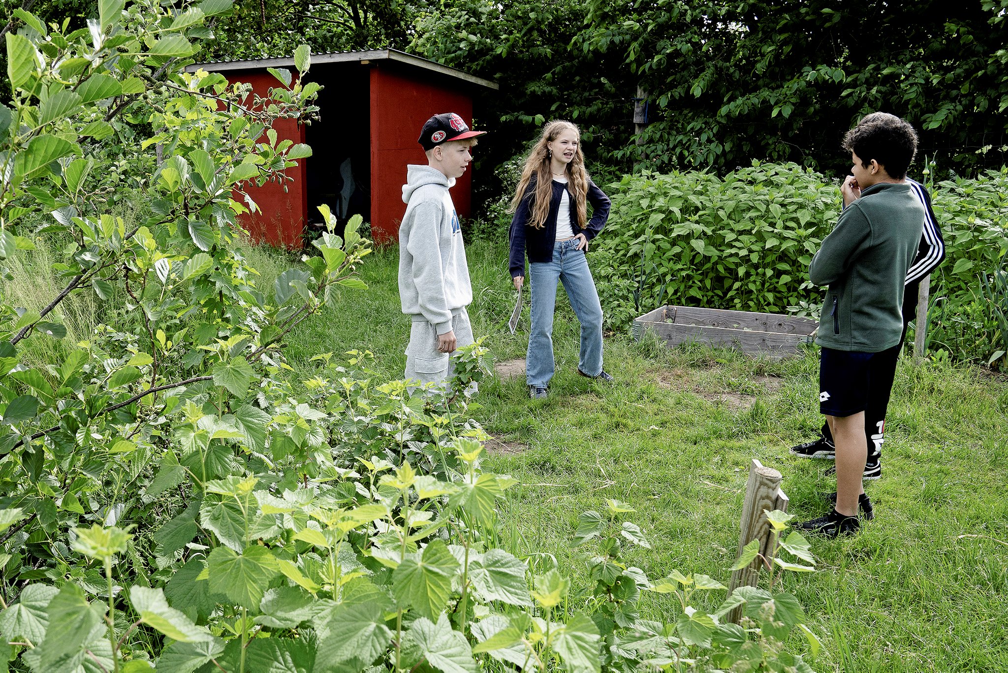 Flora og Asbjørn fortæller Lukas og Jakob om permahaven.