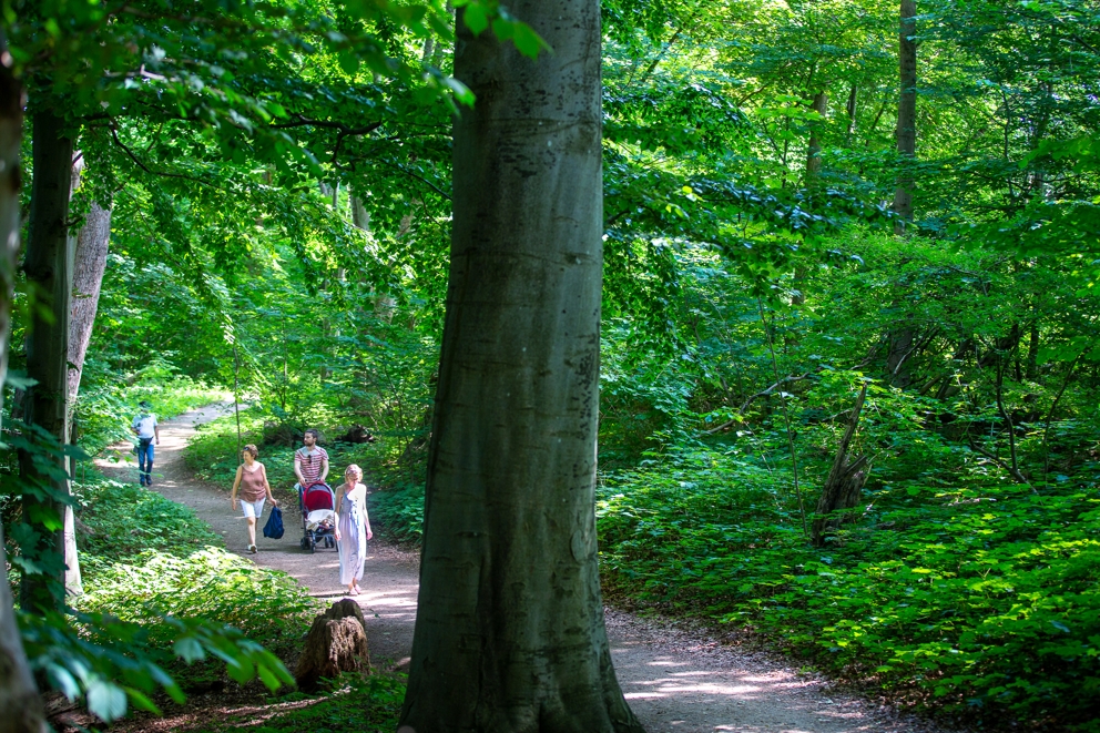 Blixenruten er cirkulær og kombinerer enestående natur- og kulturoplevelser, blandt andet gennem Fuglereservatet. - Annemette Kuhlmann Blixenruten er cirkulær og kombinerer enestående natur- og kulturoplevelser, blandt andet gennem Fuglereservatet.