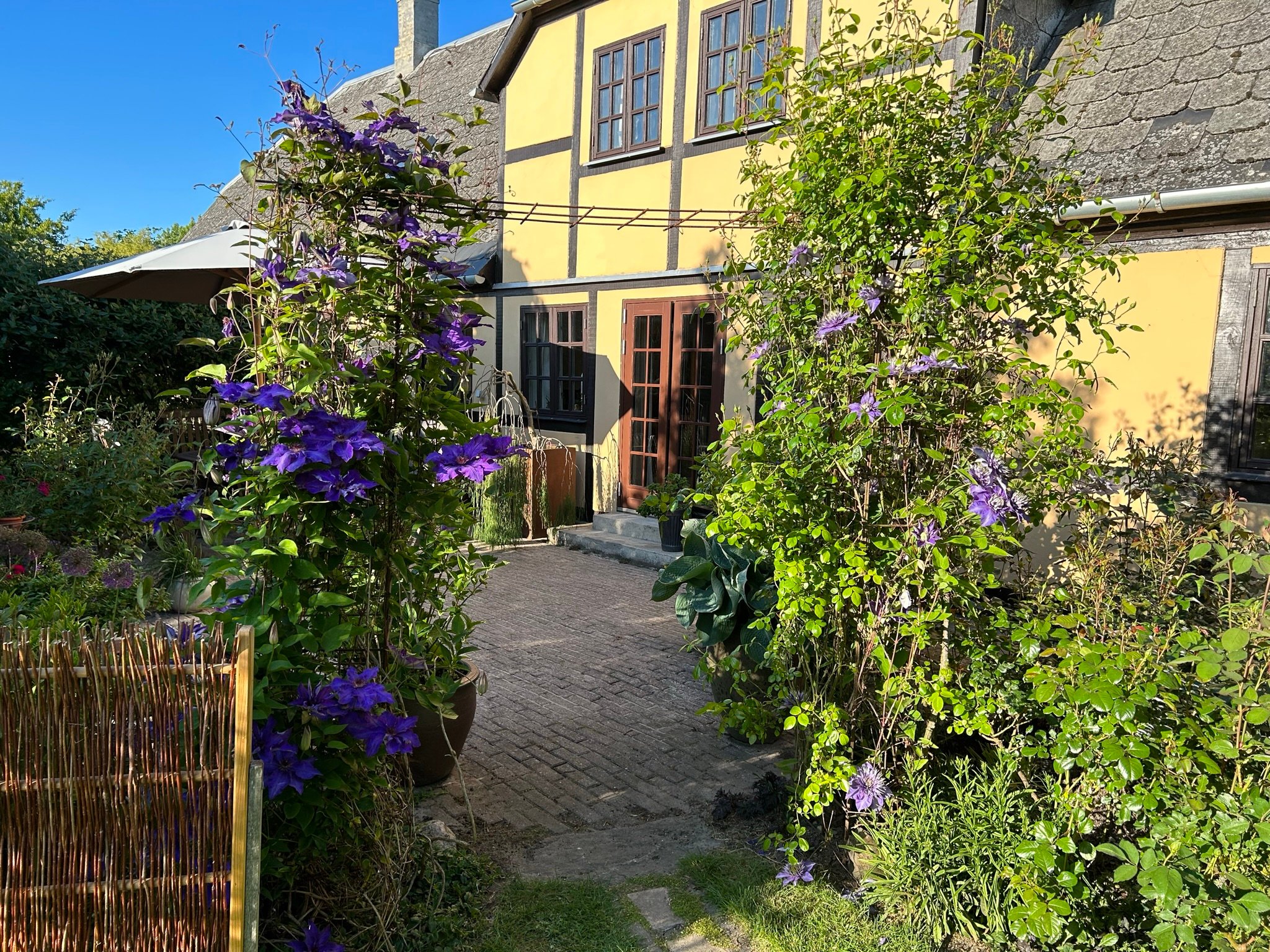 Lørdag 15. juni klokken 13-17 er der åbne haver i Thorsø.
