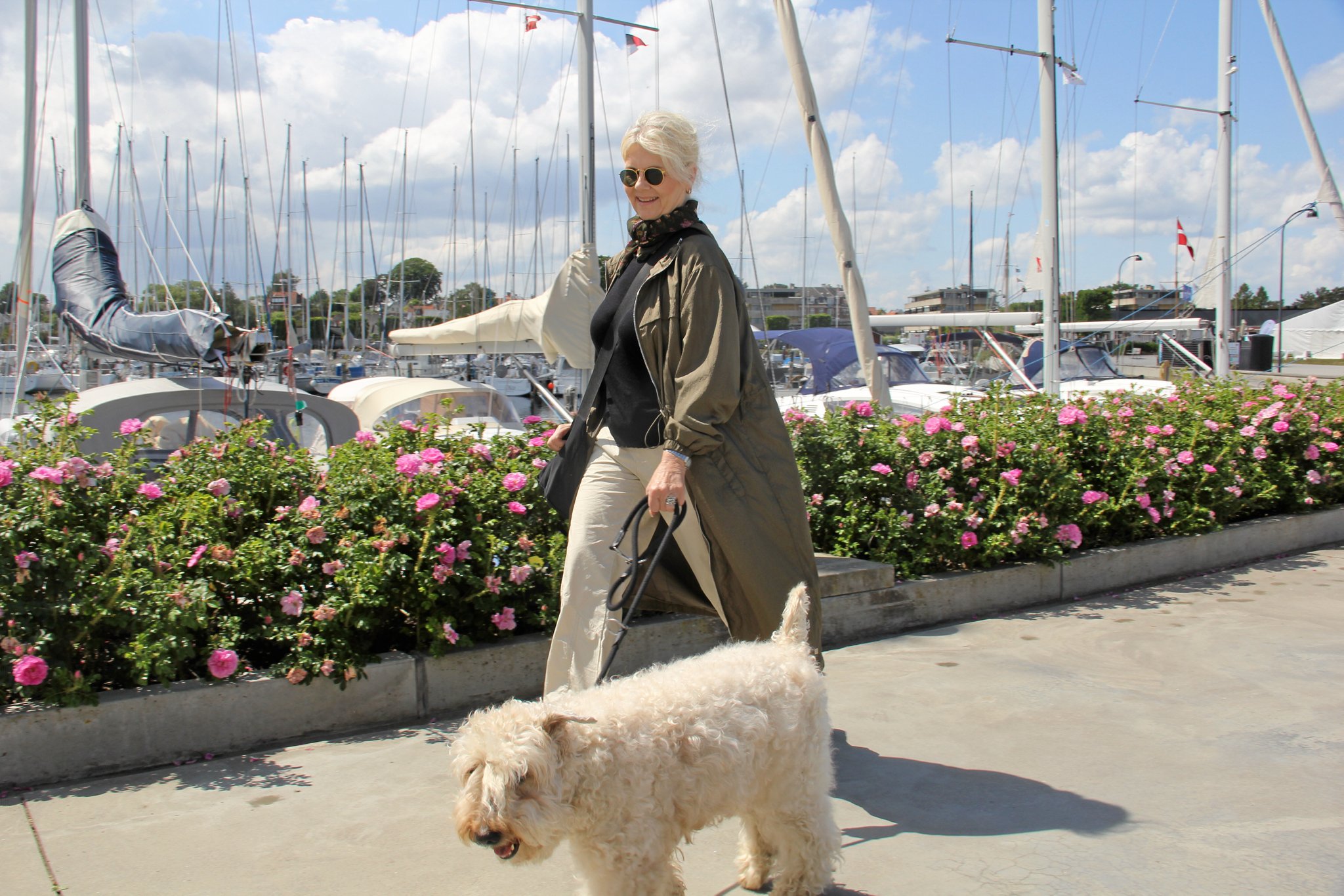 Vibeke Kierkegaard Rosenvinge har gjort det til sin mission at fortælle hundeejere, som hun møder på sine daglige gåture med hunden Fauna, om, hvor farlige nikotinposer er for hunde at indtage. Foto: Kathrine Albrechtsen