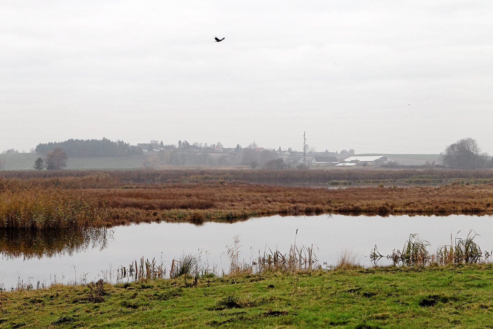 Carsten Westh ser gerne, at der etableres en sti rundt om Skenkelsø Sø. Det vil fremme sundhed og motion i hverdagen samt give familier, ældre og børn et trygt og naturskønt udflugtsmål, siger han. Forslaget er nu meget på at finde vej til behandling i byrådet.