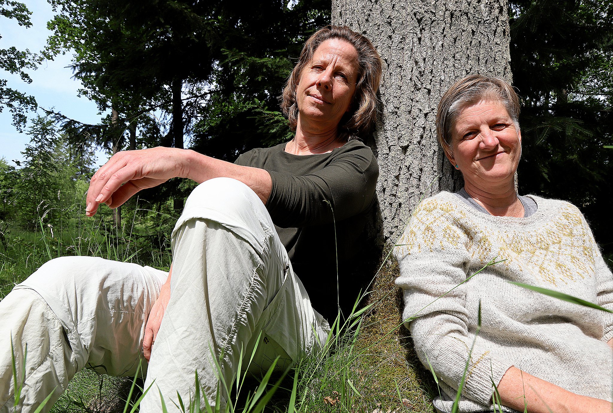 N r Fuglene Synger Er Der Ingen Fare P F rde Derfor Kan Naturen n-r-fuglene-synger-er-der-ingen-fare-p-f-rde-derfor-kan-naturen