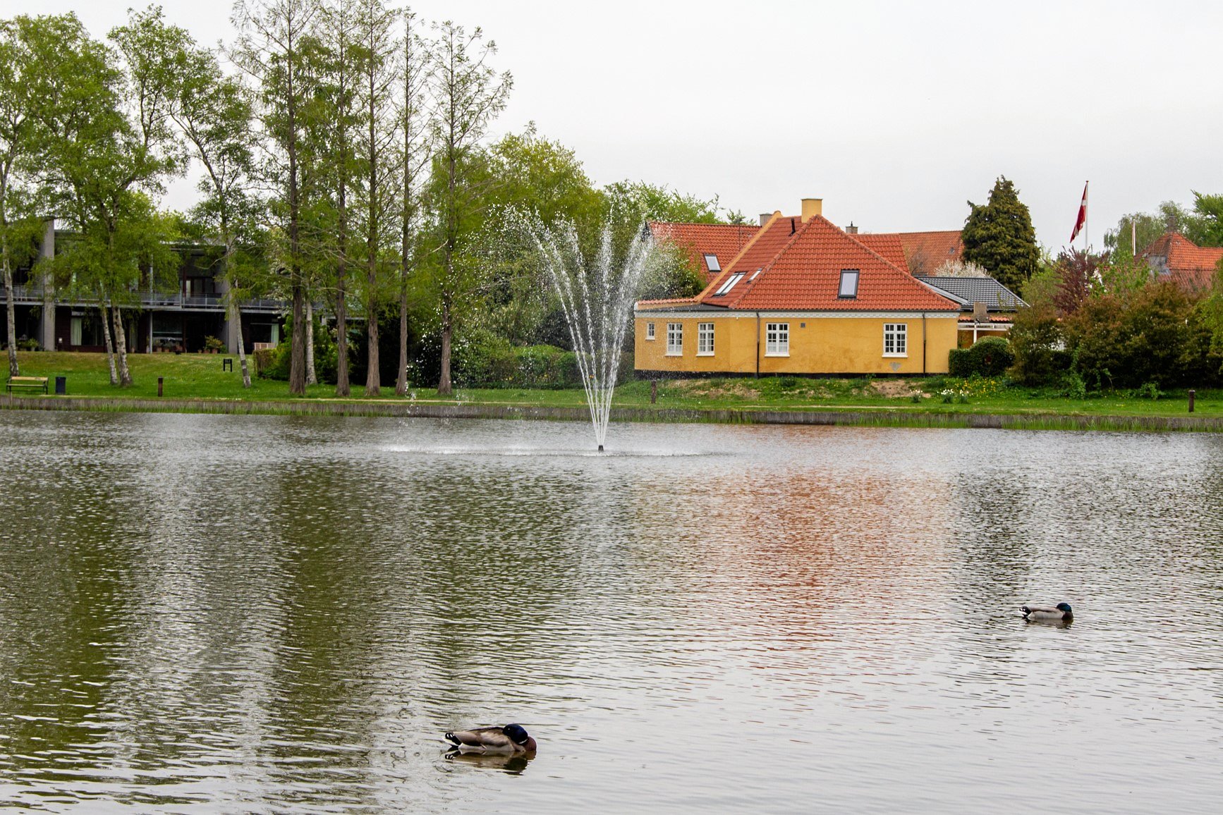Af hensyn til dyrene behøver Dronningedammen ikke et springvand, mener Karin Egede.