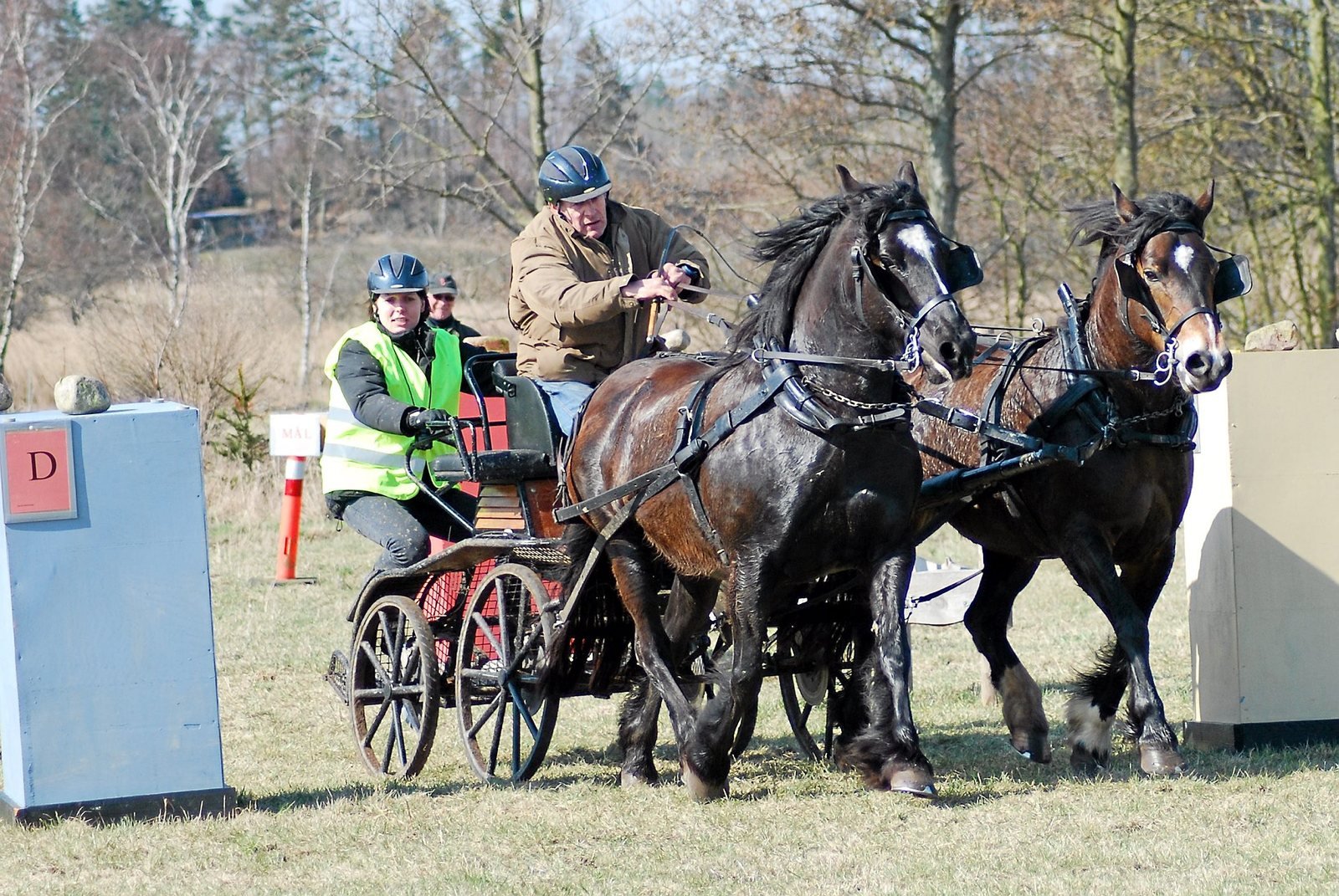 Det populære indendørskørestævne på Faxe Ridecenter - Kastaniegaarden flytter til Engtoft Hestepension & Rideskole i Himlingøje. Stævnet holdes i år lørdag den 12. februar 2011. Arrangør er Dansk Køre Selskab , mens Faxe-kuskene tager sig af den praktiske afvikling.
