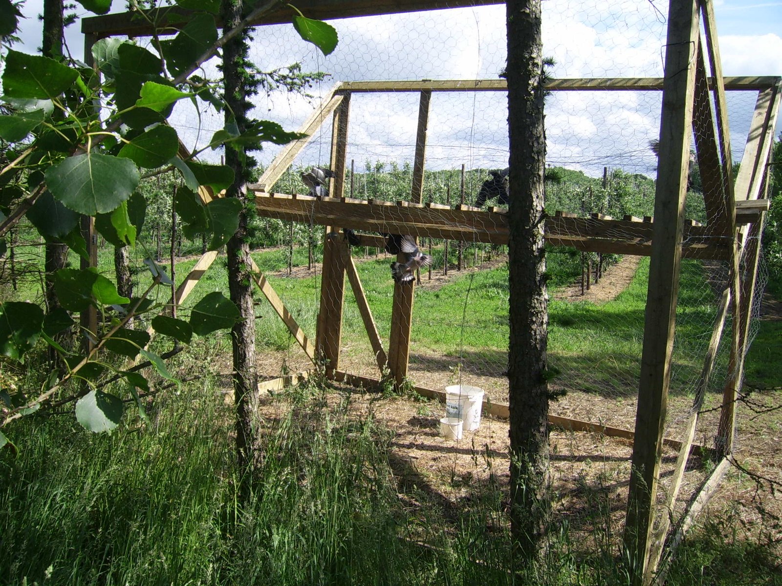 Bæravler opsatte ulovlig fuglefælde. Nu har politiet krævet fælden fjernet, skriver Venstrebladet.