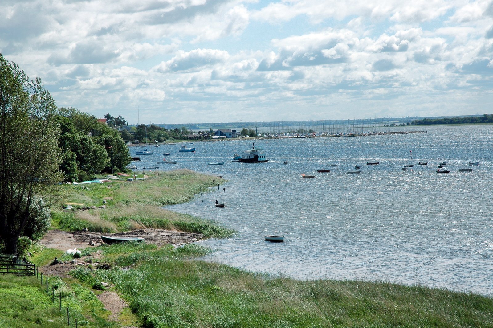 Treparten for Roskilde Fjord og Isefjorden har nu lagt en plan, der skal bane vej for bedre vandmiljø i de to fjorde.