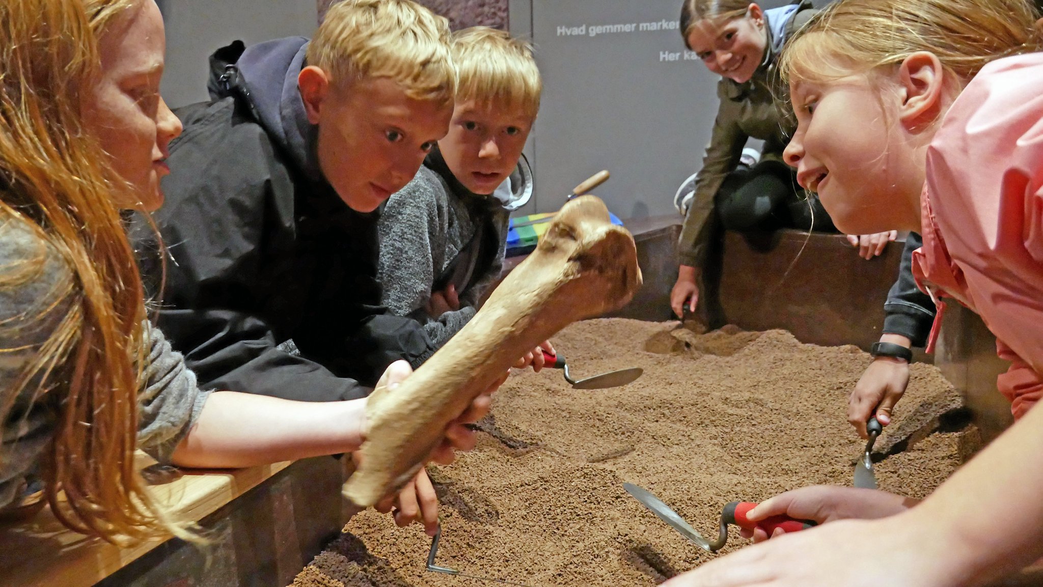 Vær med til at finde arkæologiske fund på Holbæk Museum i løbet af sommerferien.
