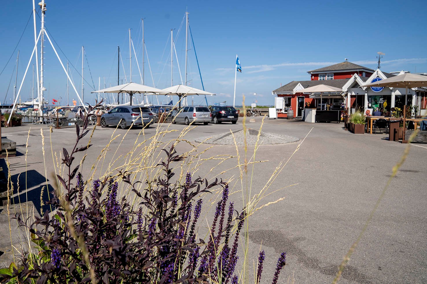 Hornbæk Havn trænger til at blive renoveret, men hvordan det skal gøres, er der mange holdninger til.