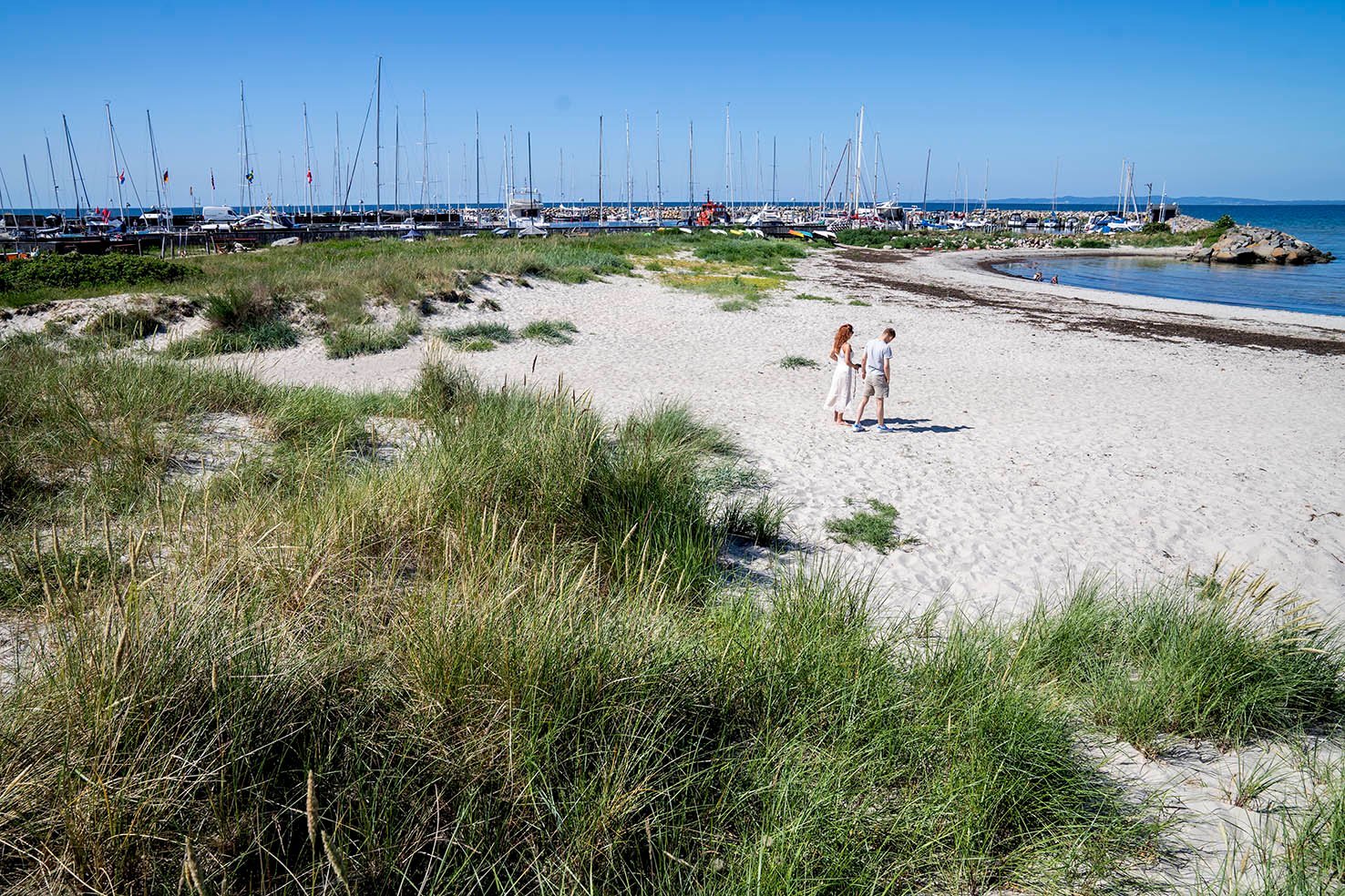 Er der tale om et sammenhængende klitområde eller enkeltstående klitter med forskelligt indhold af beskyttet natur. Det spørgsmål er ikke uvæsentligt, når det kommer til den planlagte udvidelse af lystbådehavnen i Hornbæk.