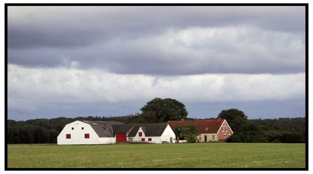 Hvis hver femte danske landmænd må dreje nøglen om, kan det betyde tab for den danske finanssektor på op mod 60 milliarder kroner.