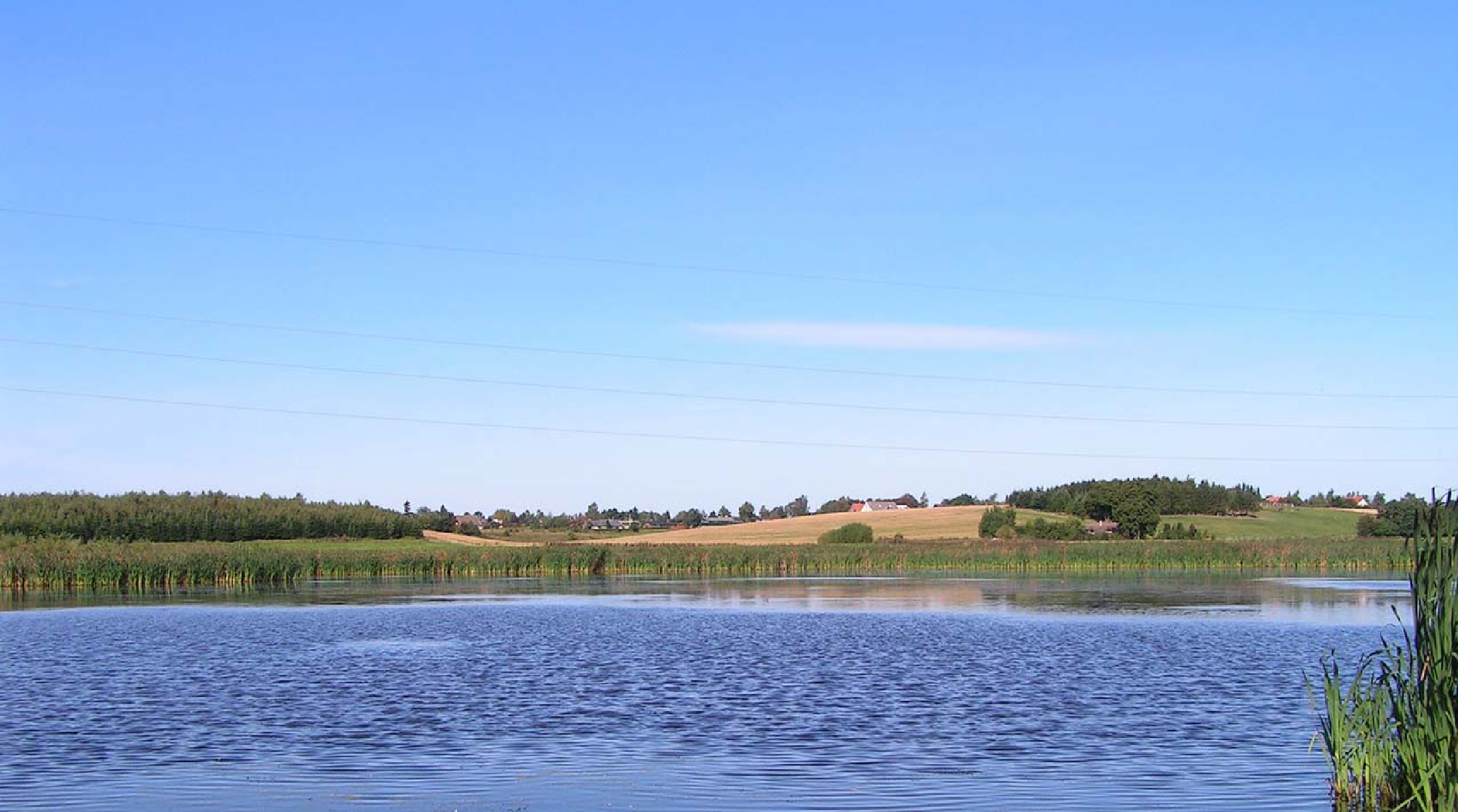 En sti omkring Skenkelsø Sø vil skabe bedre adgang til naturen for alle borgere, skriver Carsten Westh, hvis forslag nu skal afgøres af politikerne i Egedal-byråd.