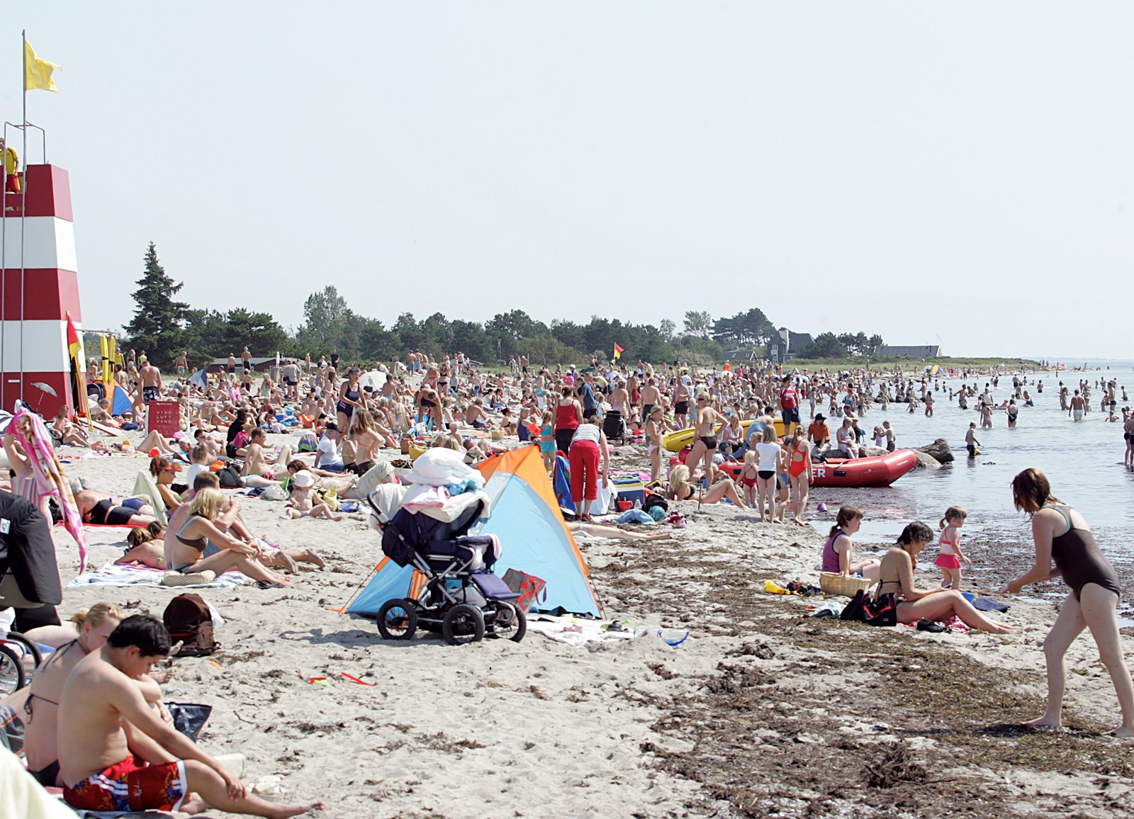 Enø Strand er turisternes foretrukne fluepapir.
