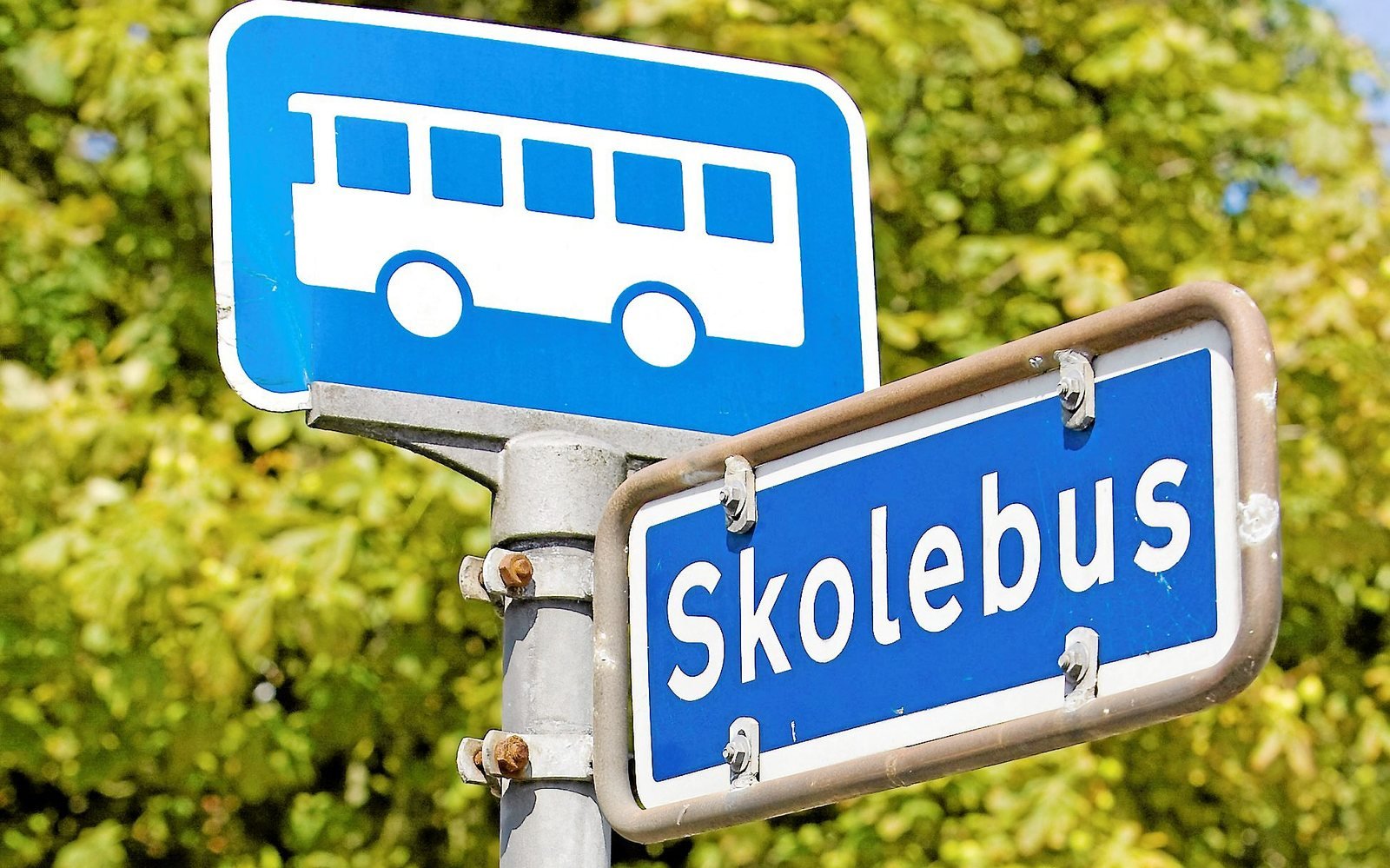 To ulovlige skolebusser er blevet taget i Roskilde. Det markedonske firma kan nu forvente en millionbøde og en chauffør udvises af landet.