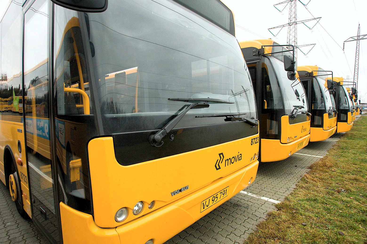 Reklamerne har hovedsageligt været til stede på busserne