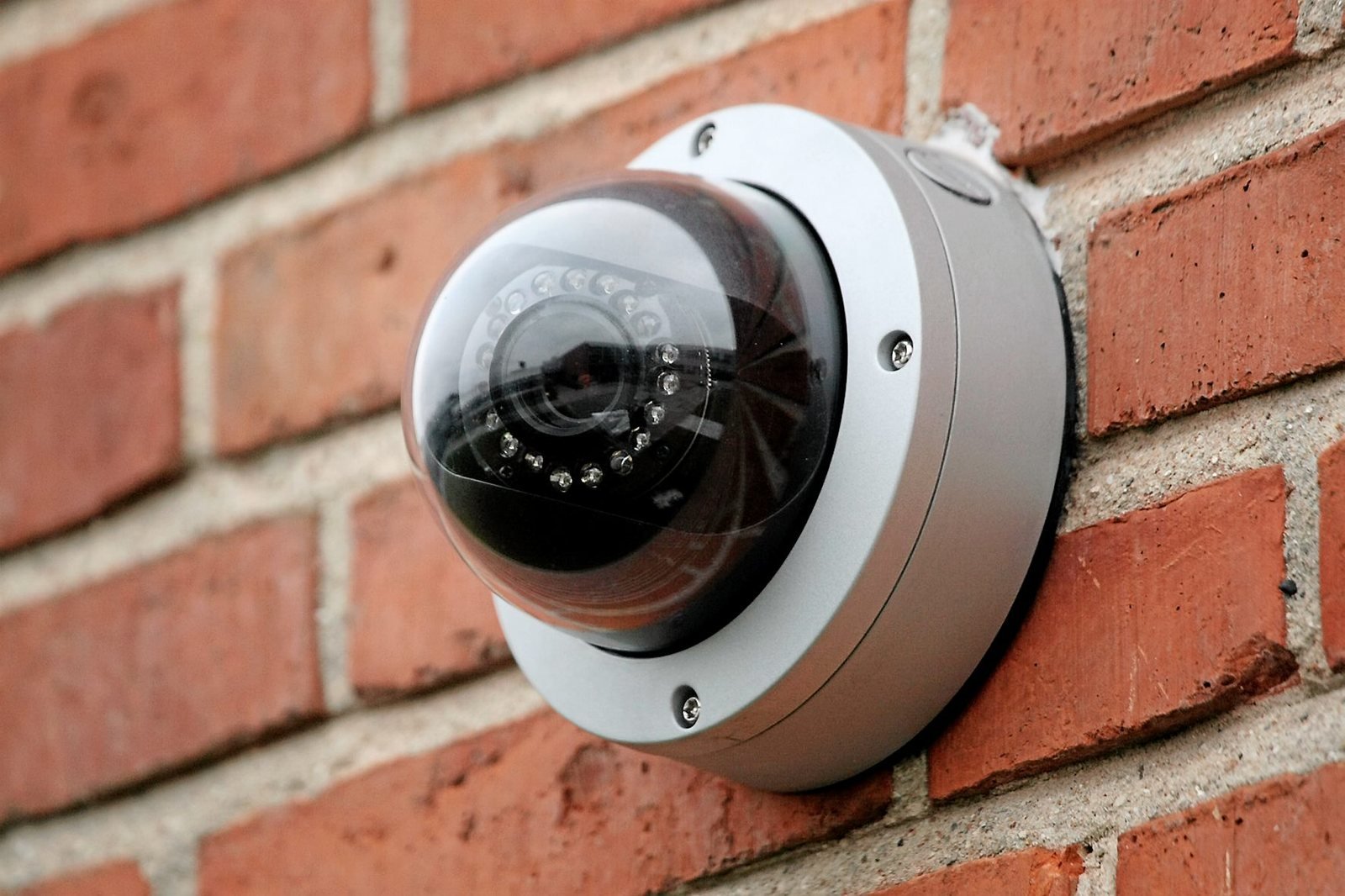 Overvågningskameraerne hos Hareskov Hestepension viste sig nyttige en februarnat.