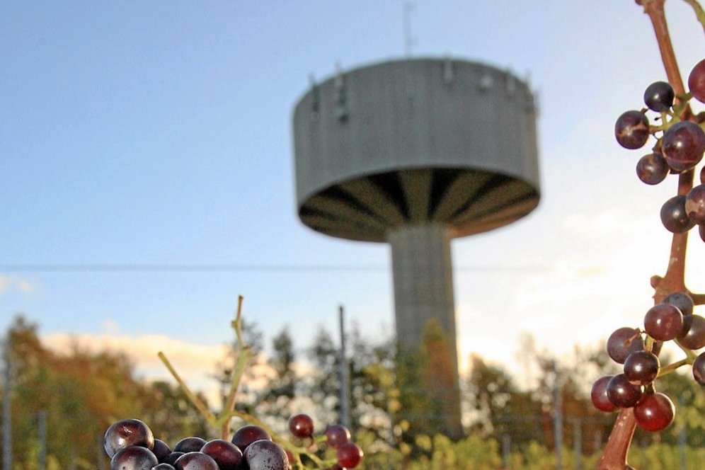 En af forureningerne opstod i Veksebo Vandtårn, da flere tusinde insekter trængte ind og forurenede drikkevandet.