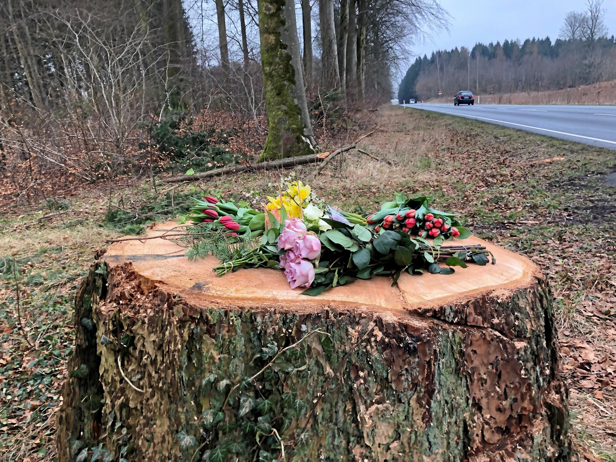Blomster lagt på træstub på Parnasvej efter, at den 55-årige efterskolelærer blev ramt af et træ.